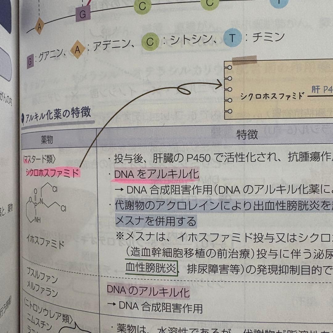 薬ゼミの要点集 9冊セット 薬学ゼミナール