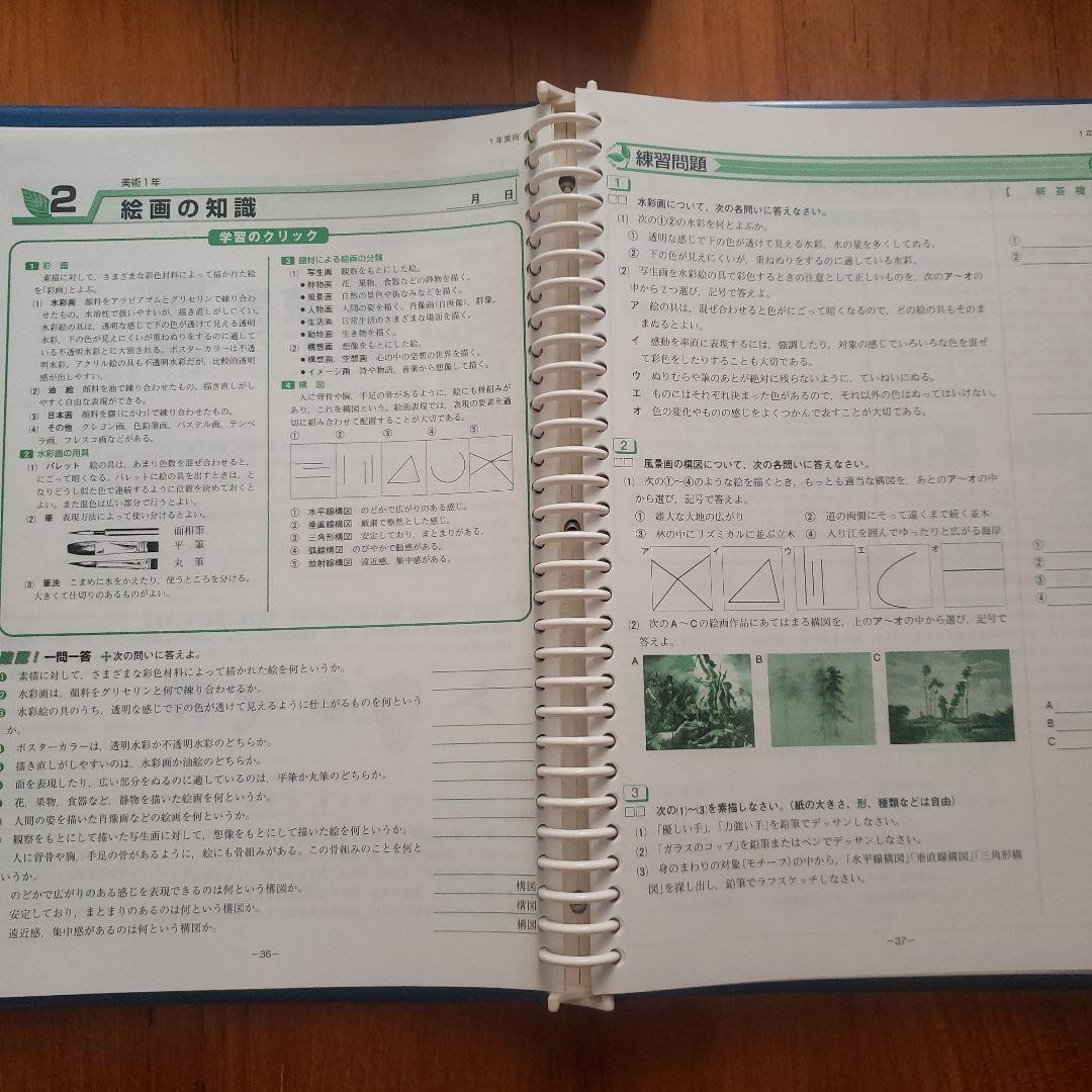 中学定期テスト対策 内申対策 受験対策◇アルファヴィクトリー生徒指導書DVD付き