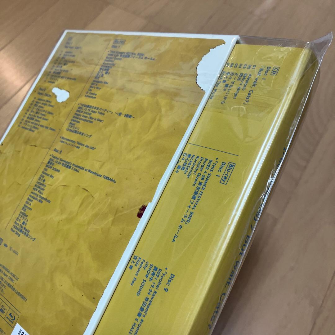 邦楽 [Alexandros] / But wait. Cats?