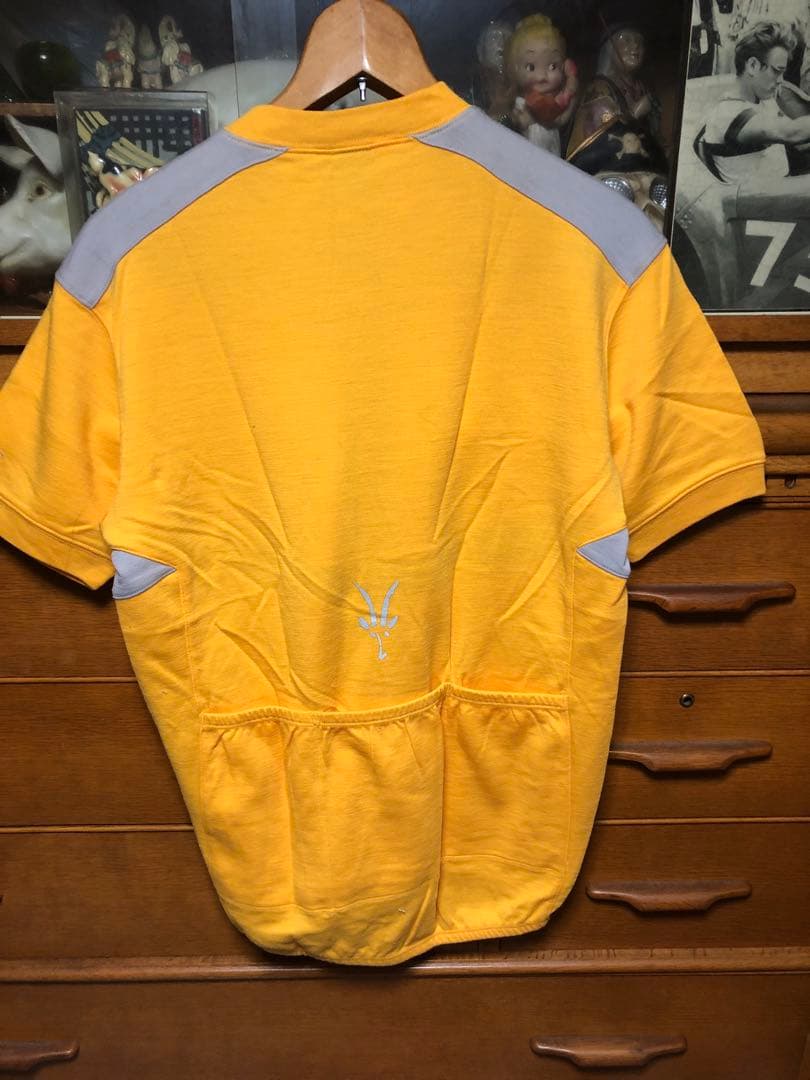 IBEX サイクリング　シャツ