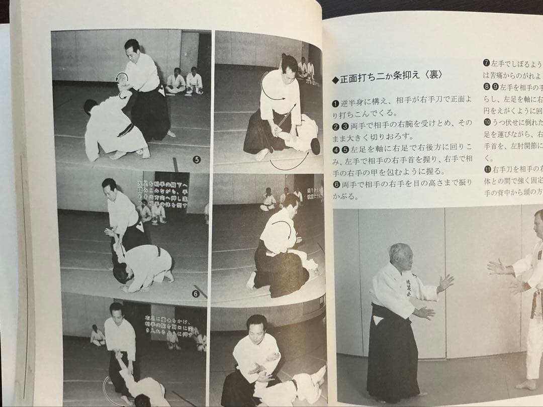 図解 合気道入門 【希少本】【2002年】