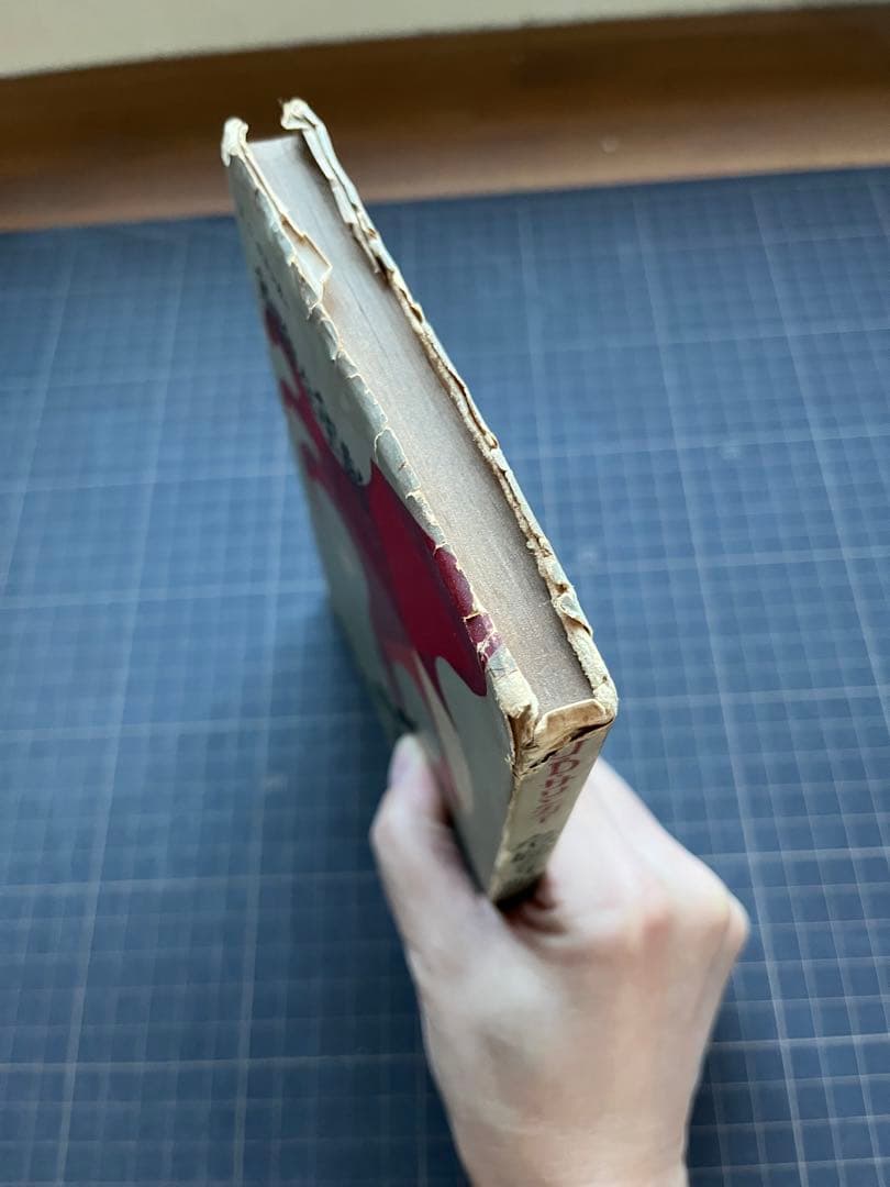 危険な年齢　サリンガー　ライ麦畑でつかまえて　サリンジャー