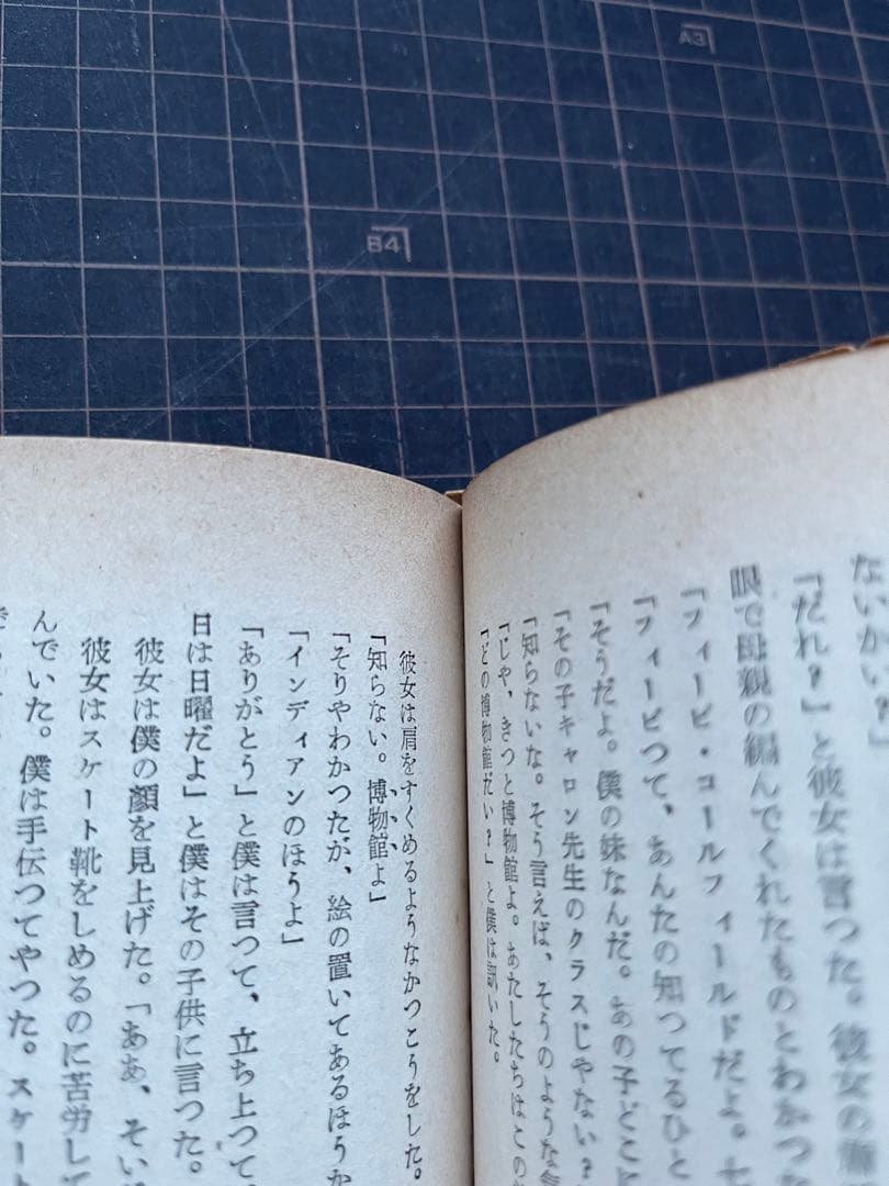 危険な年齢　サリンガー　ライ麦畑でつかまえて　サリンジャー