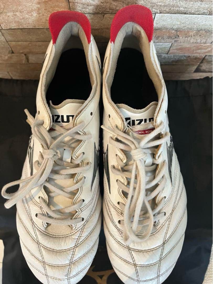 モレリアネオ3 MIX