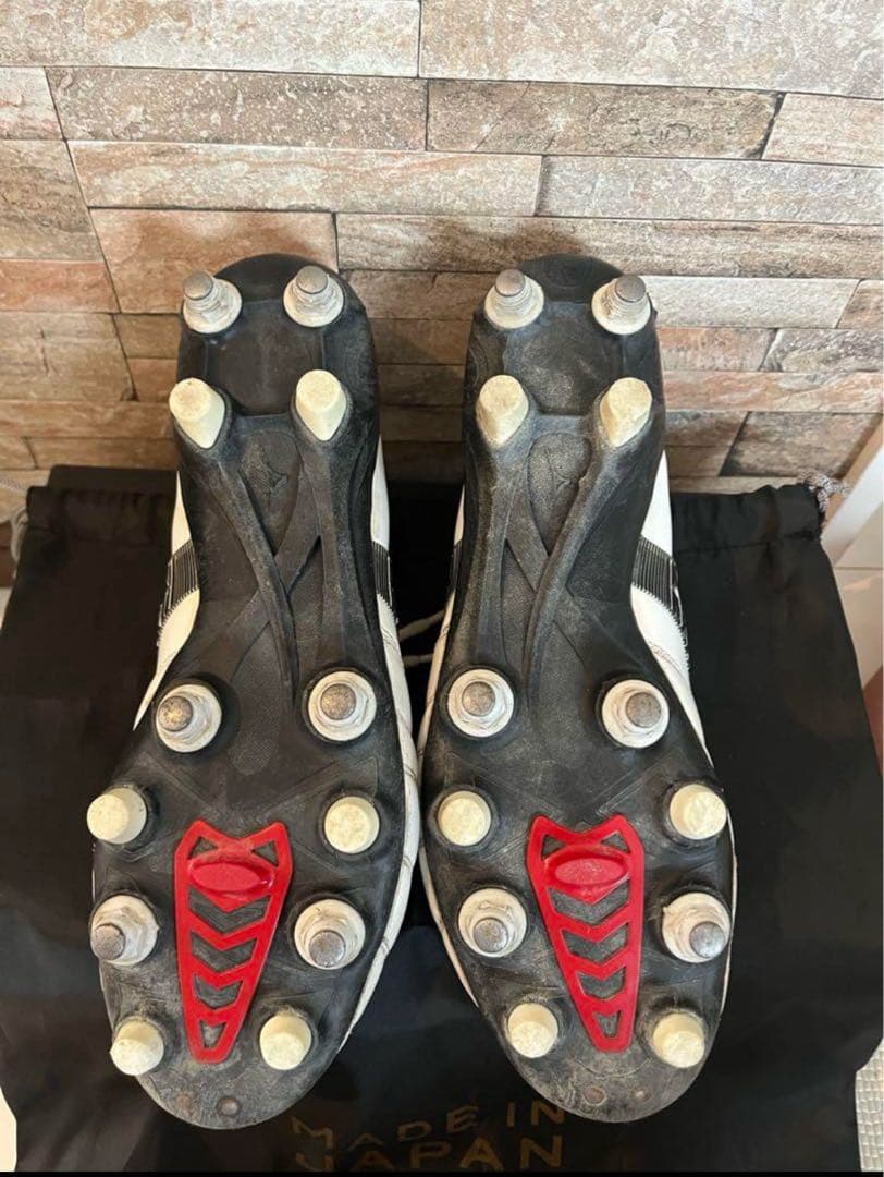 モレリアネオ3 MIX