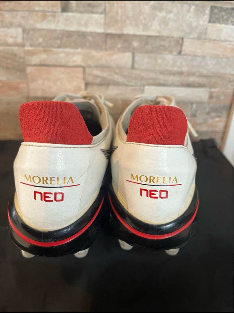 モレリアネオ3 MIX