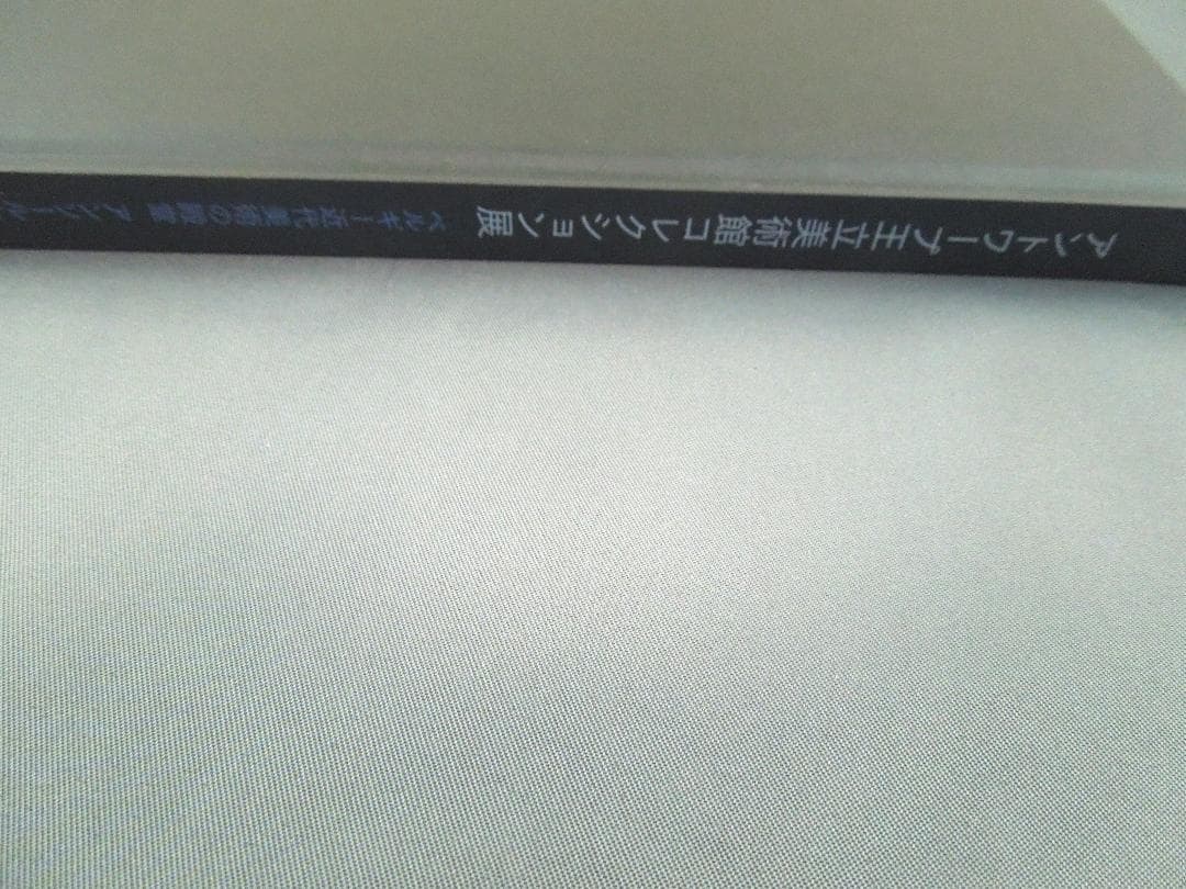 美術館グッズ【393】〔展覧会図録〕アントワープ王立美術館コレクション展