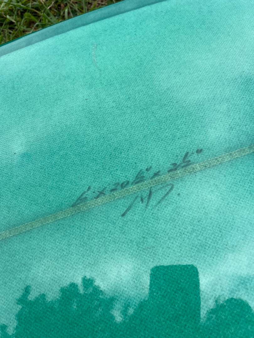 ショートボード6.0　フィン、ニットケースセット　フィッシュ　クワッドフィン