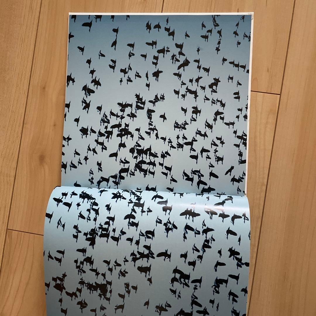 birds of brazil ブラジル 野鳥 写真集