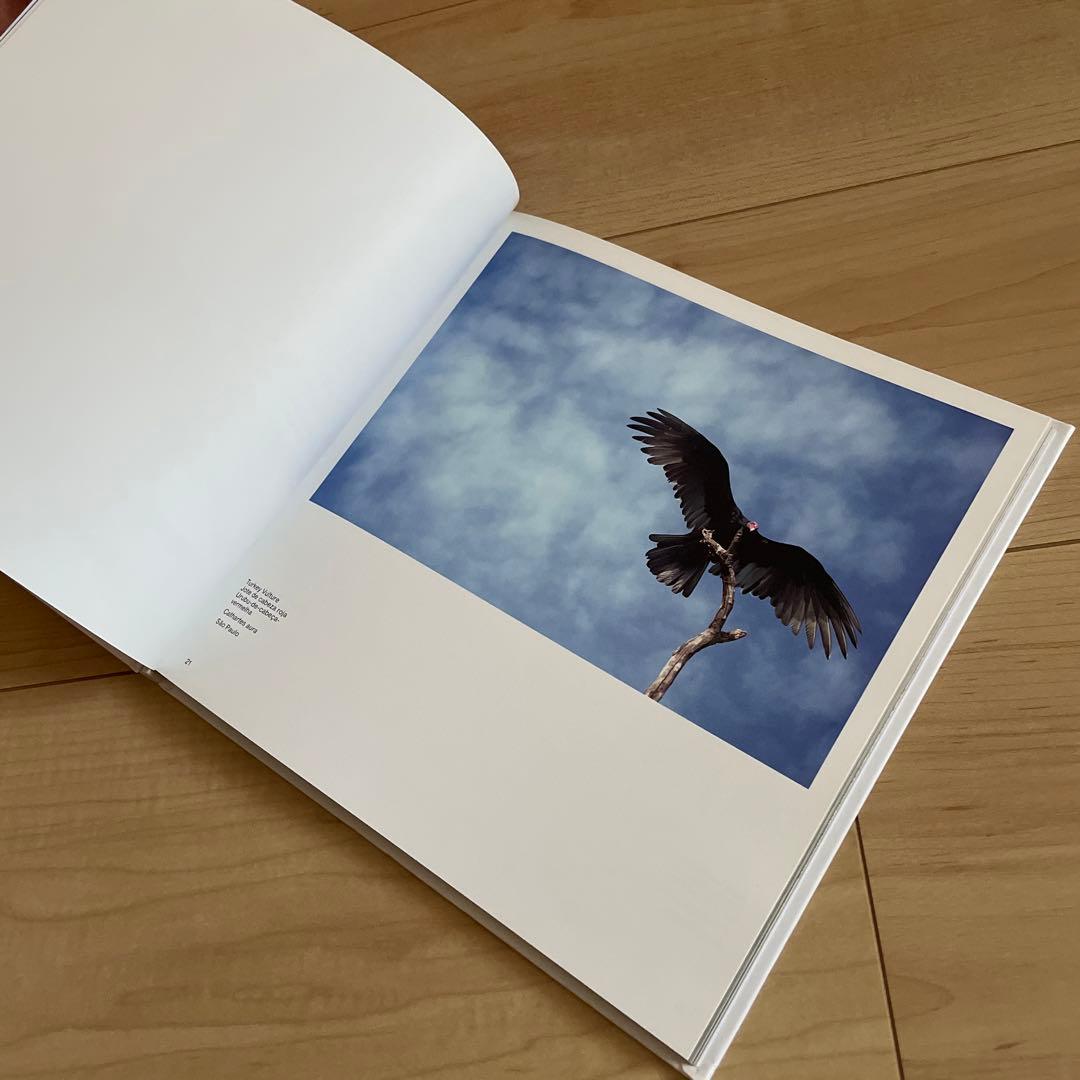 birds of brazil ブラジル 野鳥 写真集