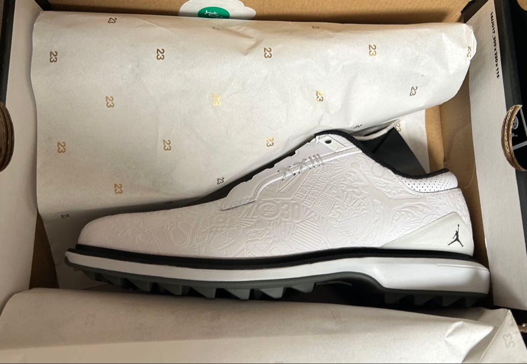 新品　ジョーダン　ADG 5 ゴルフシューズ　25.0cm