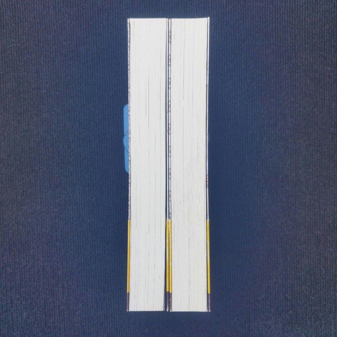 小説「王太子妃になんてなりたくない!! 王太子妃編 」全10冊+続編2冊