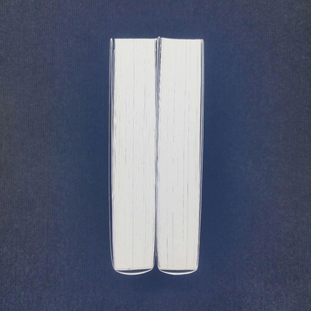 小説「王太子妃になんてなりたくない!! 王太子妃編 」全10冊+続編2冊