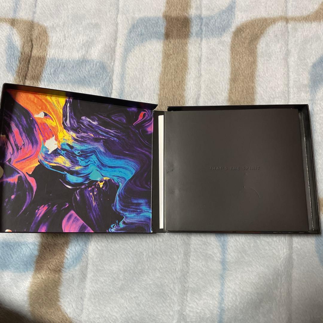 洋楽 Bring Me The Horizon That's The Spirit