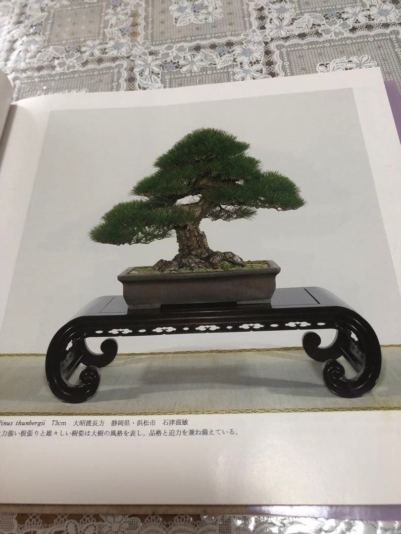 【希少品・レア】国風盆栽展 書籍セット 第69回〜第74回