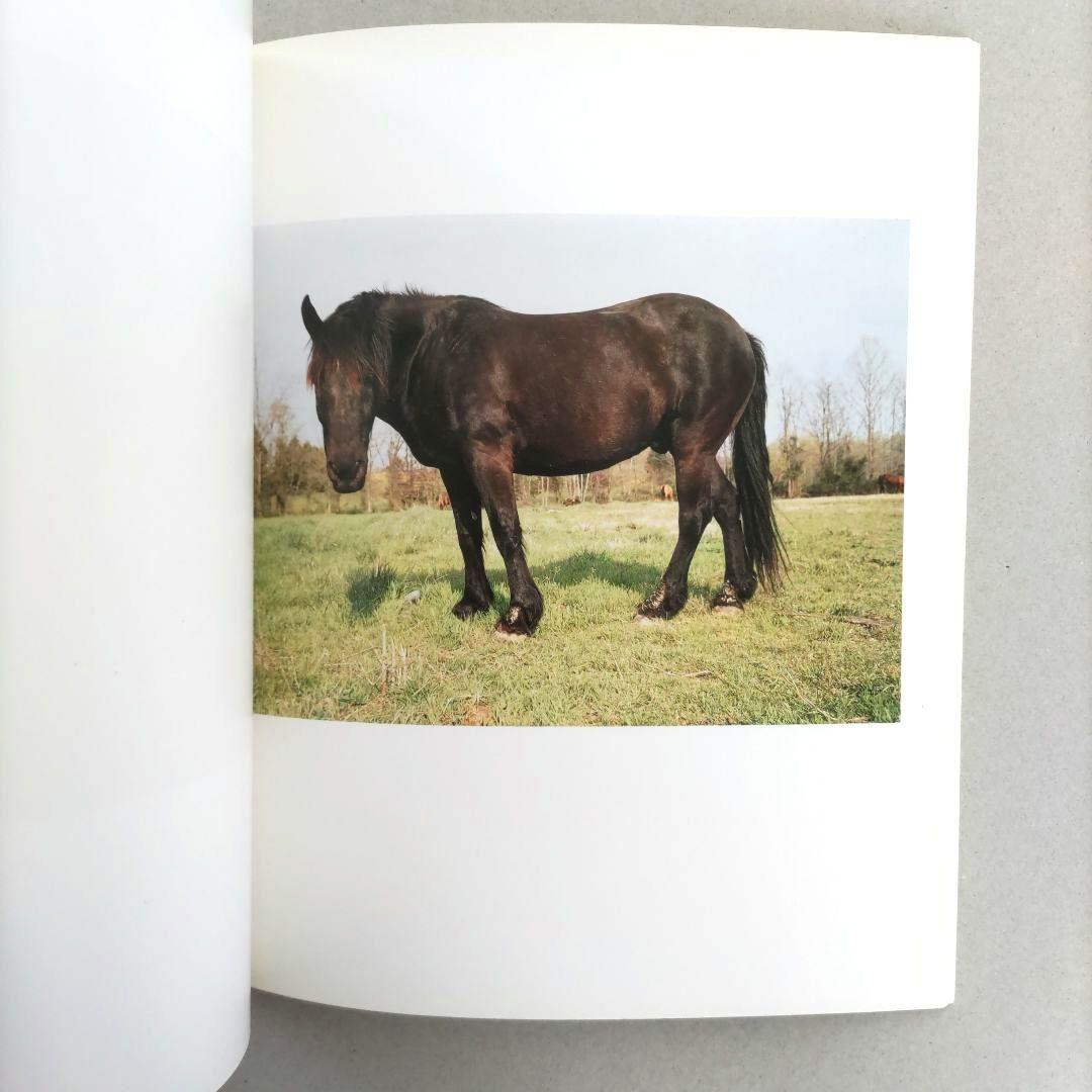 希少】Horses and Dogs:William Eggleston/写真希