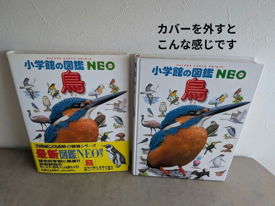 小学館の図鑑NEOシリーズ 9冊セット