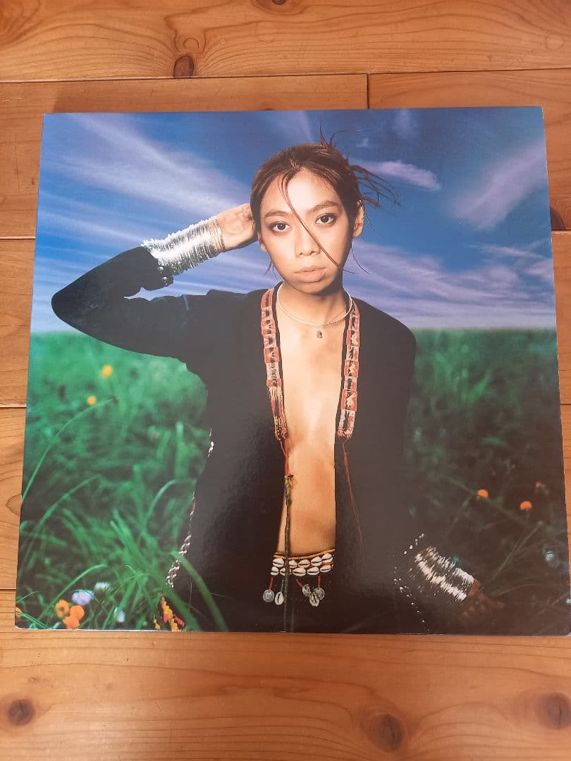 y*i様 UA/11 レコード2枚組