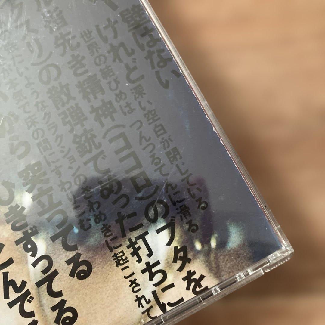 希少　ガセネタ　SOONER OR LATER cd