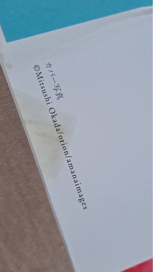 初版 絶版 キャンディ・キャンディ FINAL STORY 上巻下巻セット