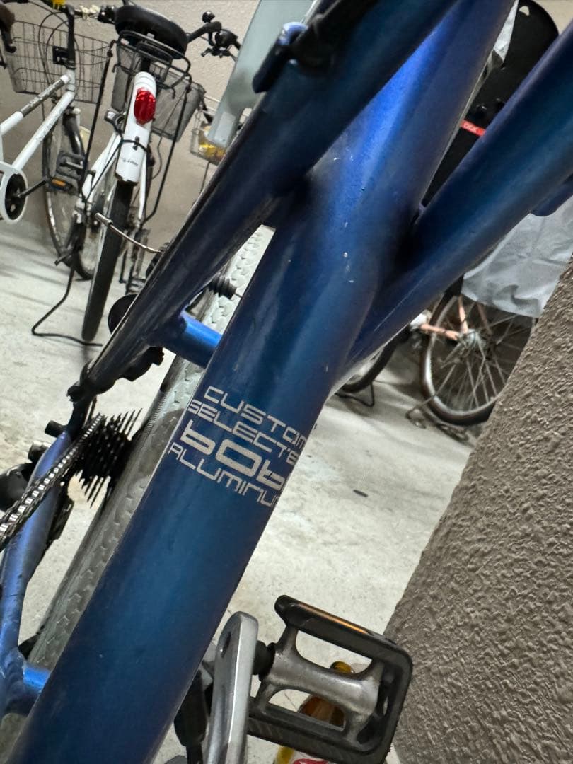 ルイガノ　MV2 希少カラー　ミニベロ