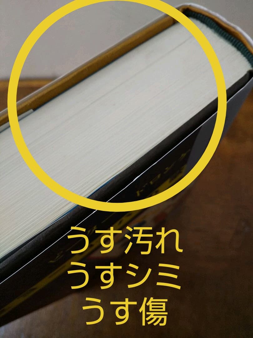 中世ヨーロッパの歌 ／ ピーター・ドロンケ 著