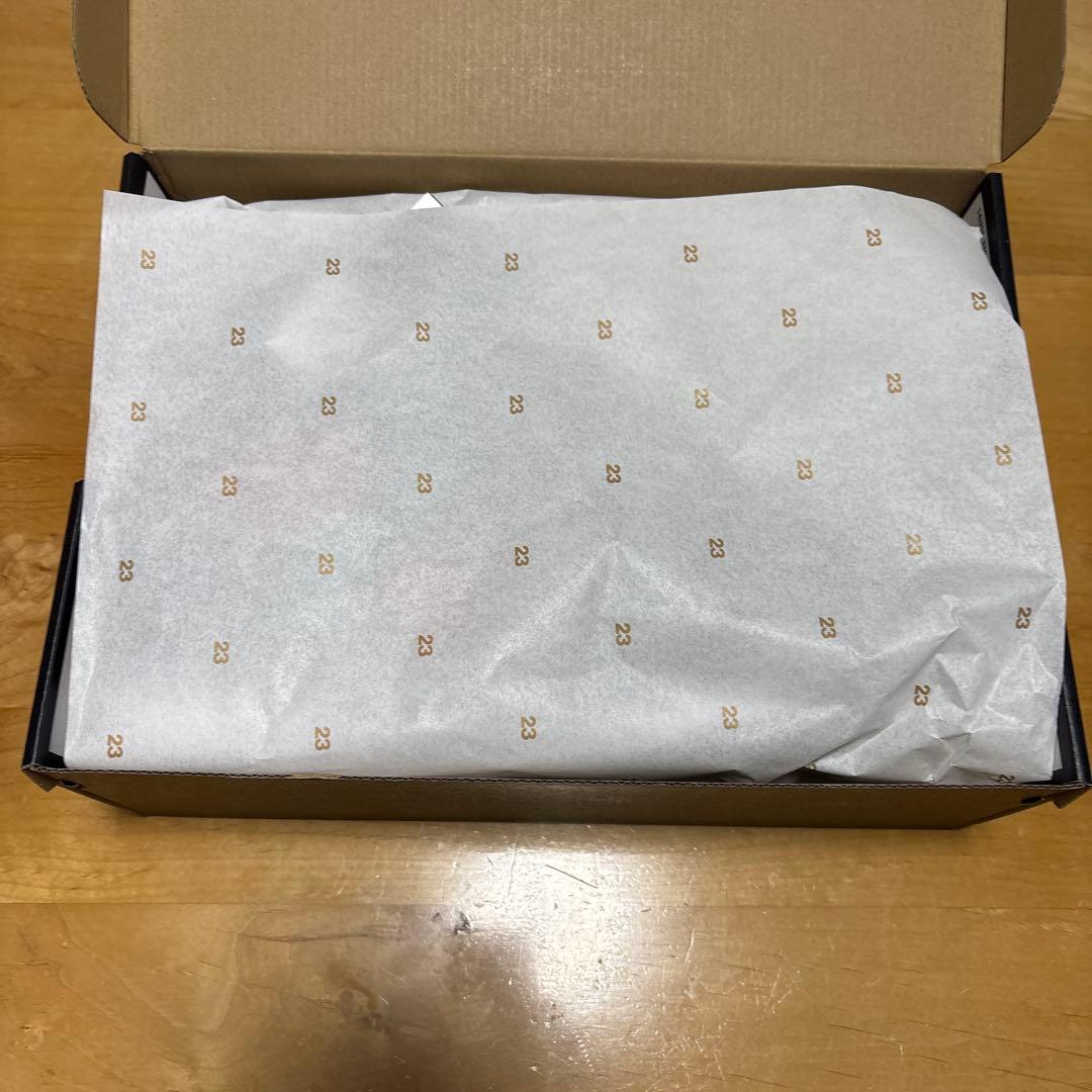 【earlybird専用新品】NIKE AIR JORDAN ACCESS