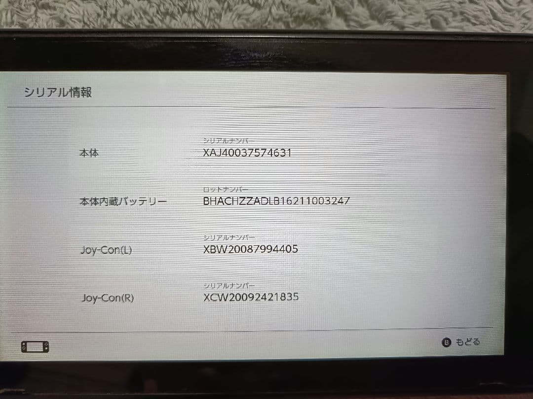 Nintendo Switch 本体 グレー 【ジャンク品】