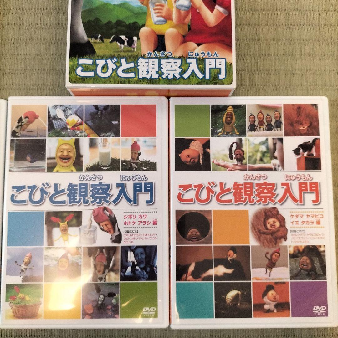 こびとづかん　観察入門 　DVD 4枚