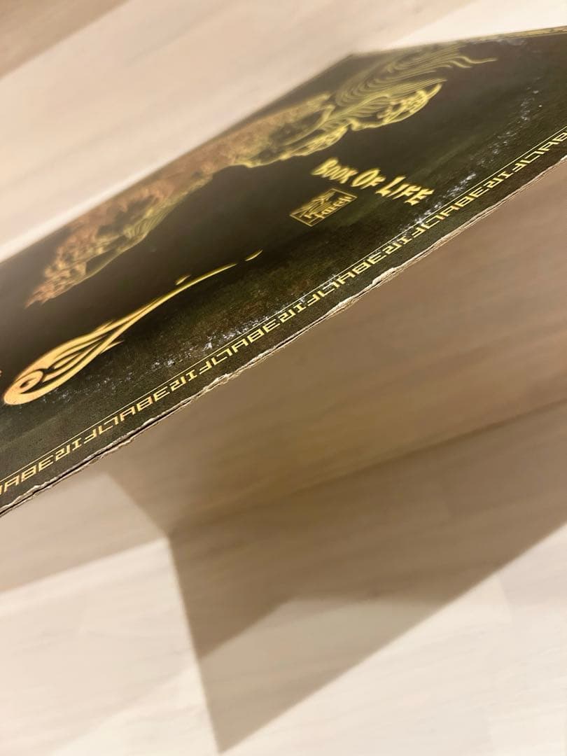 FIRE BALL - BOOK OF LIFE 2LP レコード ジャパレゲ