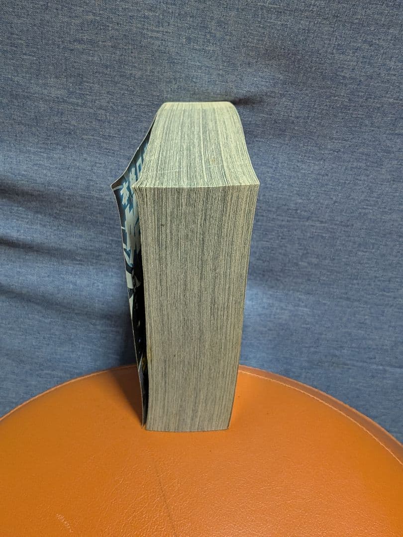 流れ星 銀牙1~6ワイド版· 流れ星銀8~10(文庫本)＋αセット·追加とオマケ