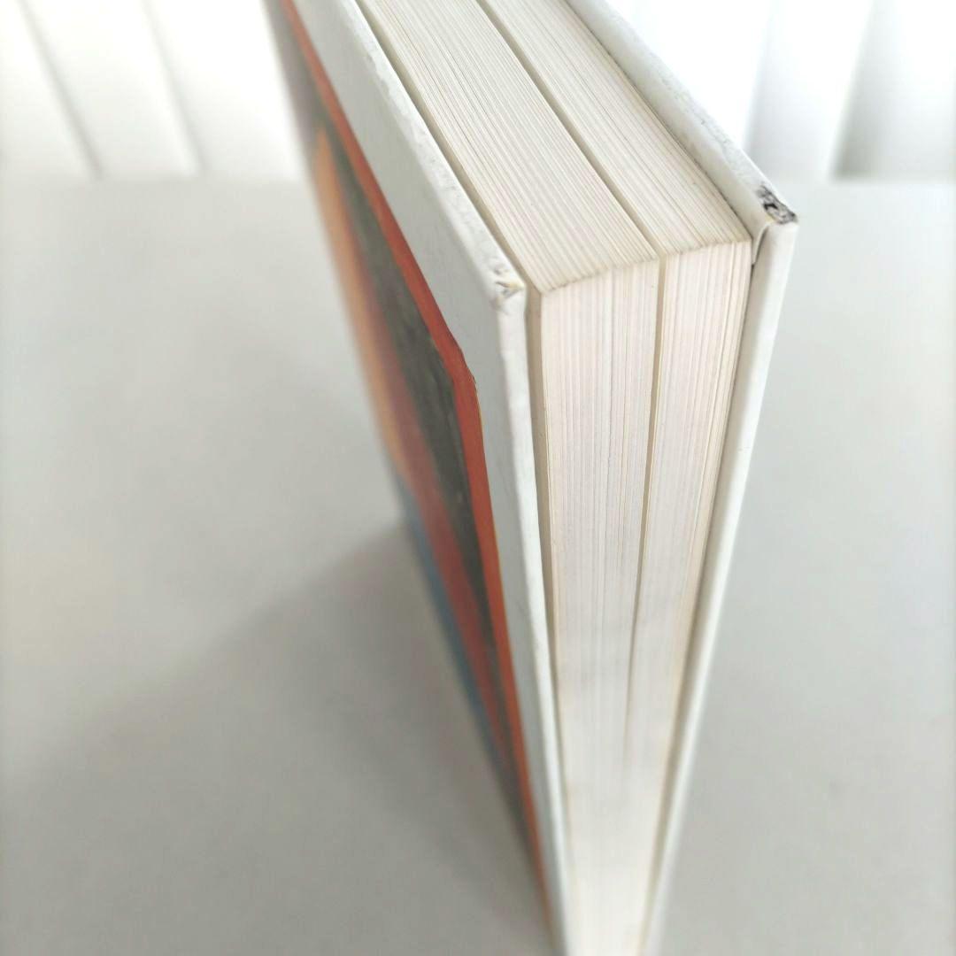 SOL LEWITT:100 CUBES/ソル・ルウィット 作品集 アート