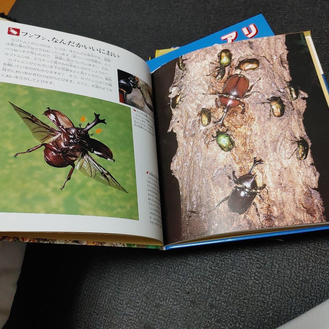 自然なぜなに DVD図鑑 ほば未使用 6冊セット 栗林 慧