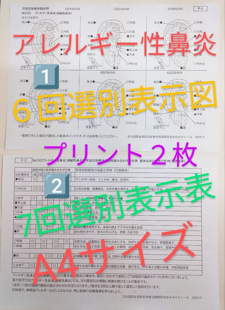 BP32:耳つぼ：臨床例60例集+チャート2+解説プリント（ジュエリー必須）プロ