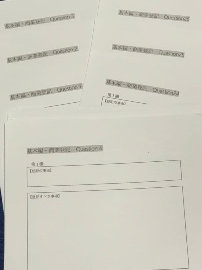 2025年　司法書士　リアリスティック 記述・基礎編　DVDとレジュメ