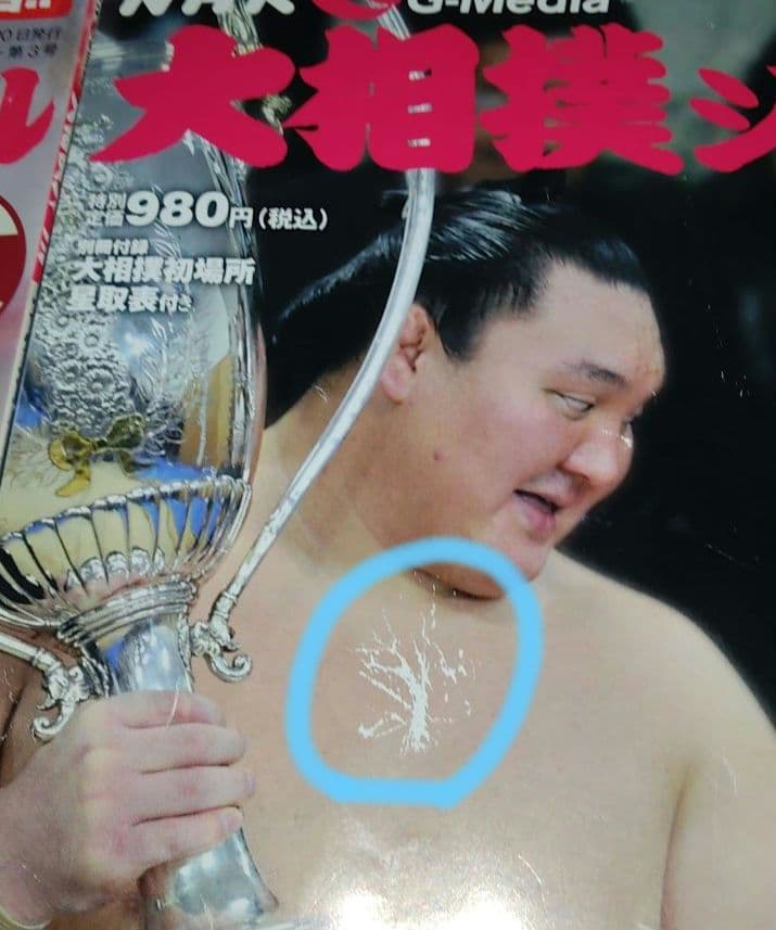 相撲　雑誌　57冊まとめ売り　平成