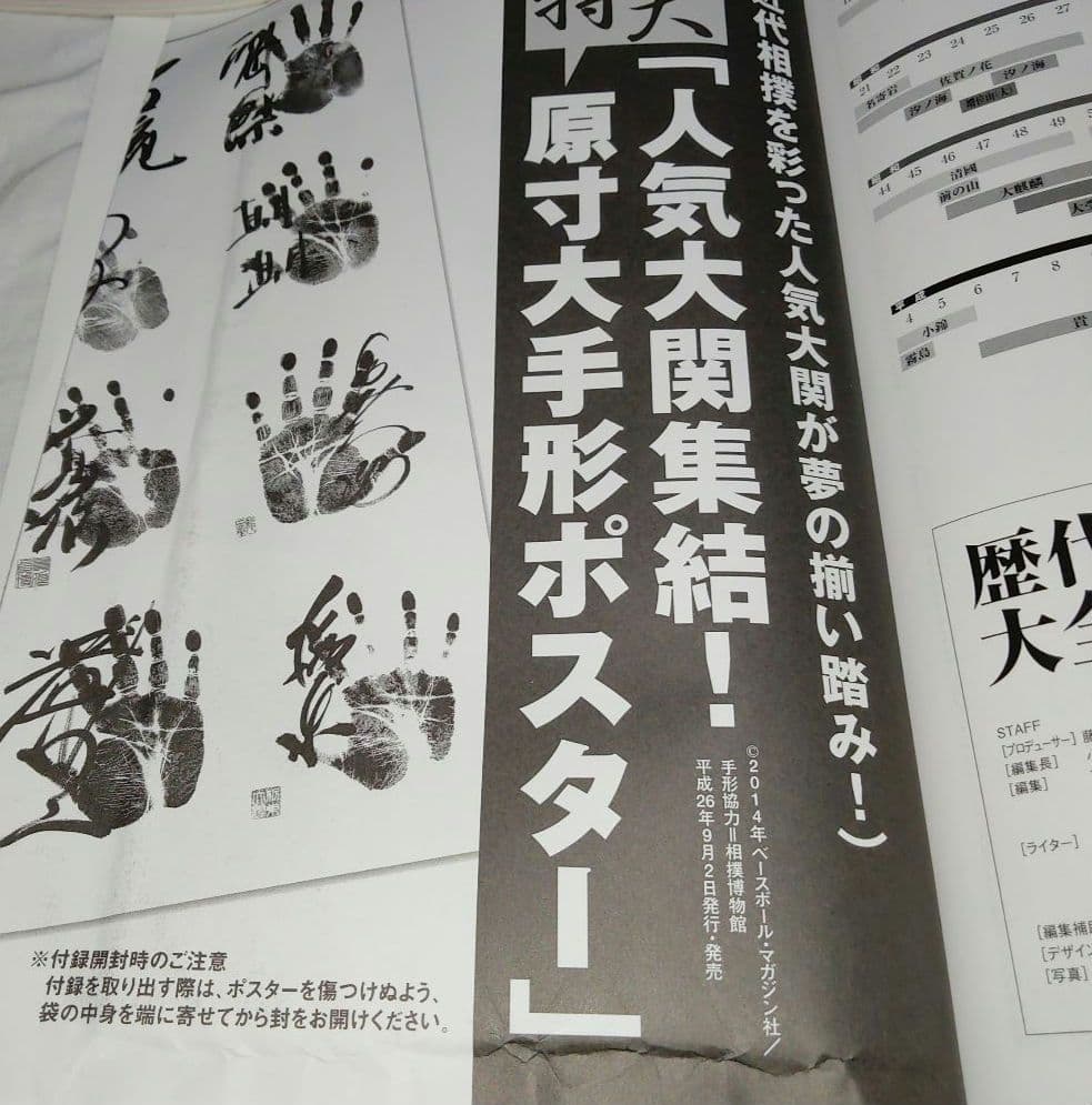 相撲　雑誌　57冊まとめ売り　平成