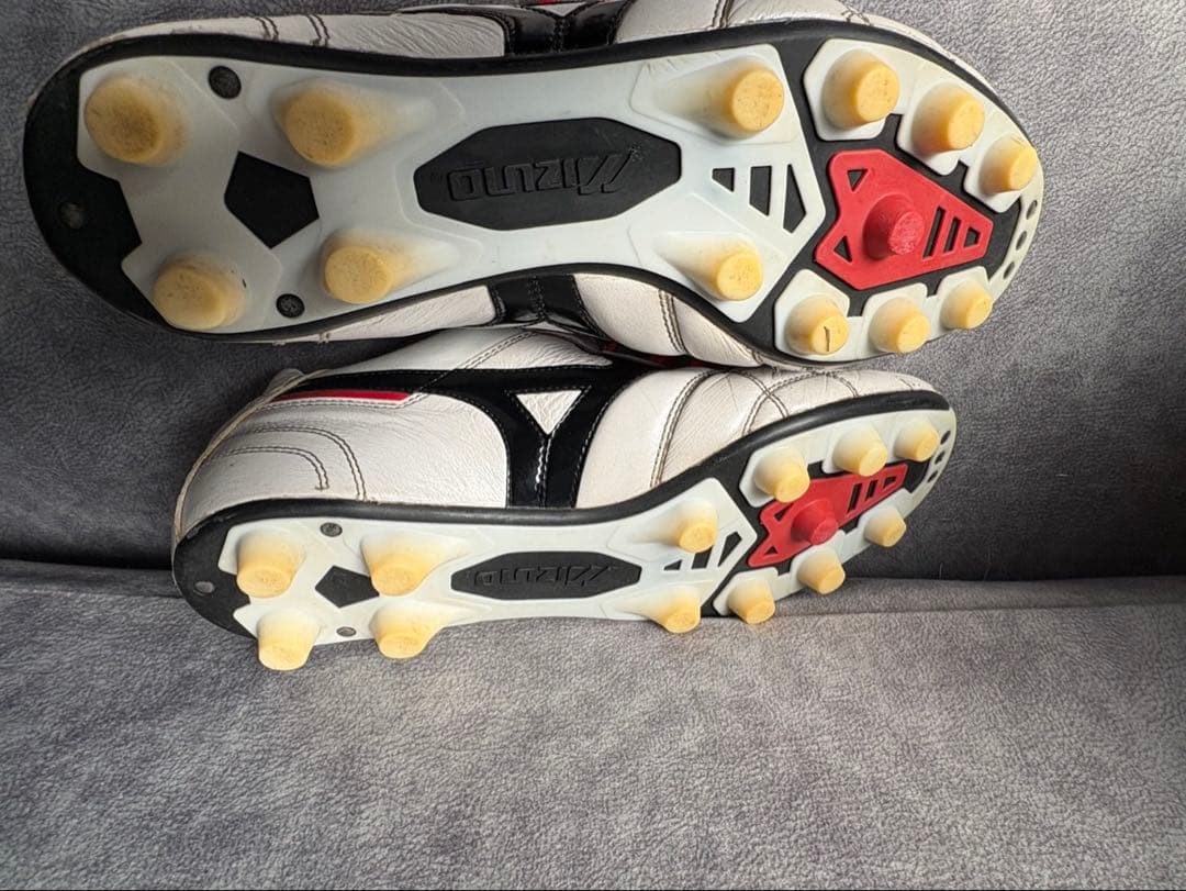 Mizuno Morelia モレリアネオ2Japan クロスステッチ26cm