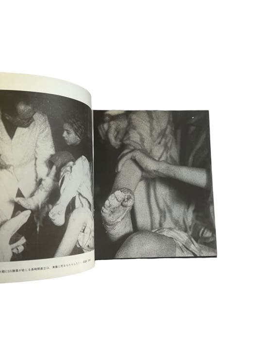 【アウシュヴィッツ収容所】写真ドキュメント　KL Auschwitz 日本語版