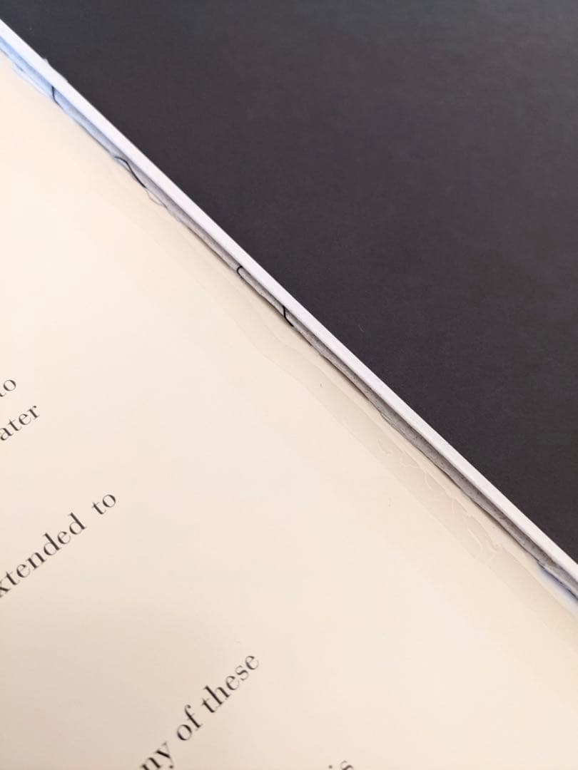 大判洋書「SERGE LUTENS/セルジュ・ルタンス」 写真集/作品集　函付き