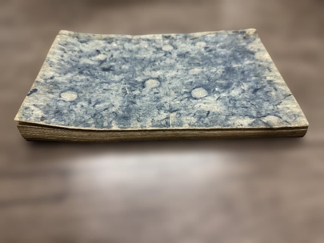 和裝本 1冊 全 写本 安政五年