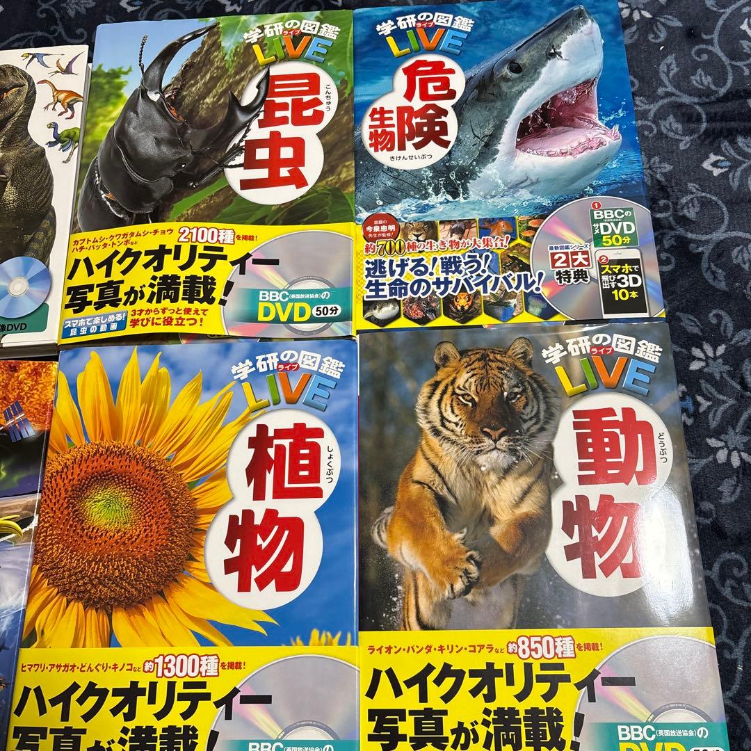美品あり⭐︎図鑑7冊【全てDVD付】おまとめセット