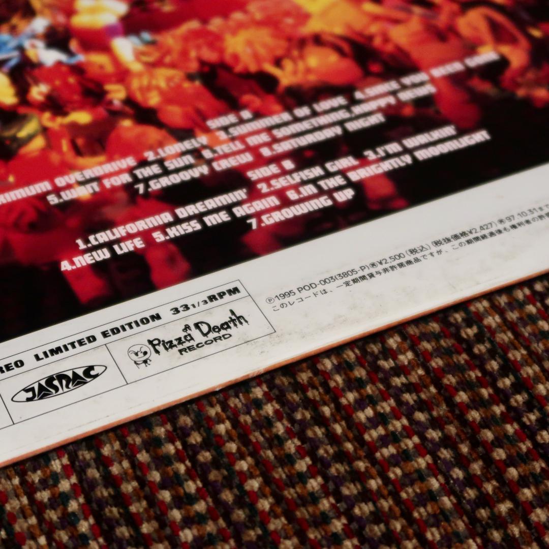 Hi-Standard / GROWING UP LP レコード 限定盤