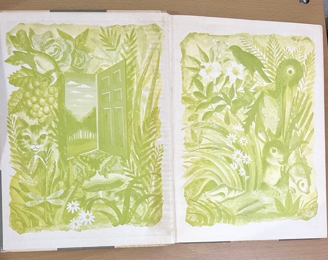 No.246 希少　古書 洋書 アンティーク 不思議の国のアリス・鏡の国のアリス