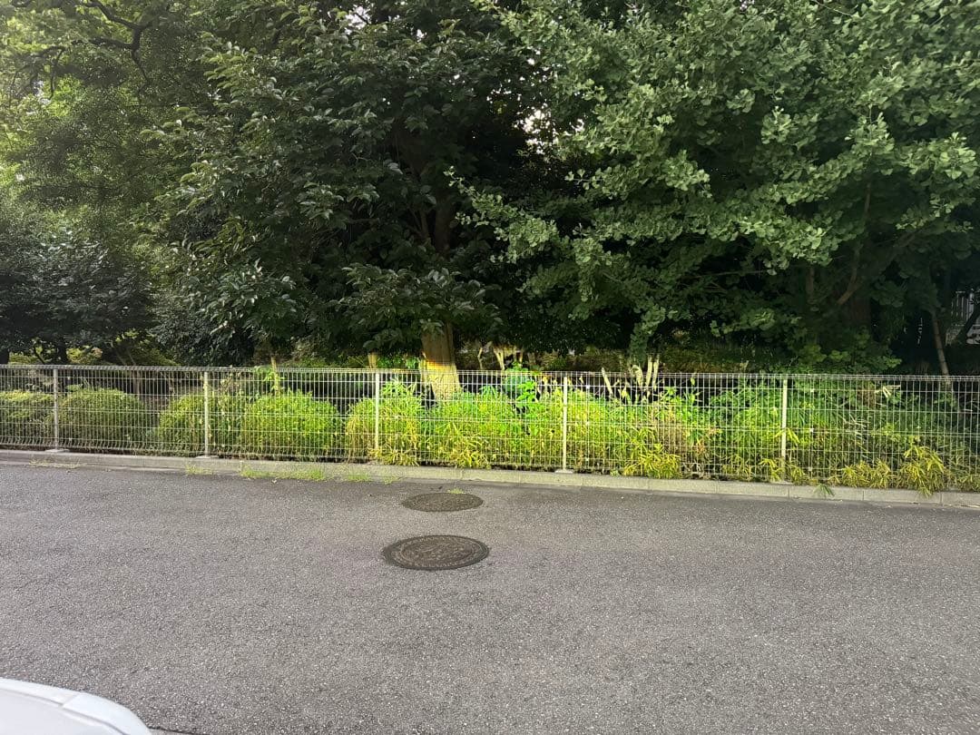 ハイラックス　ヘッドライト　レベライザー