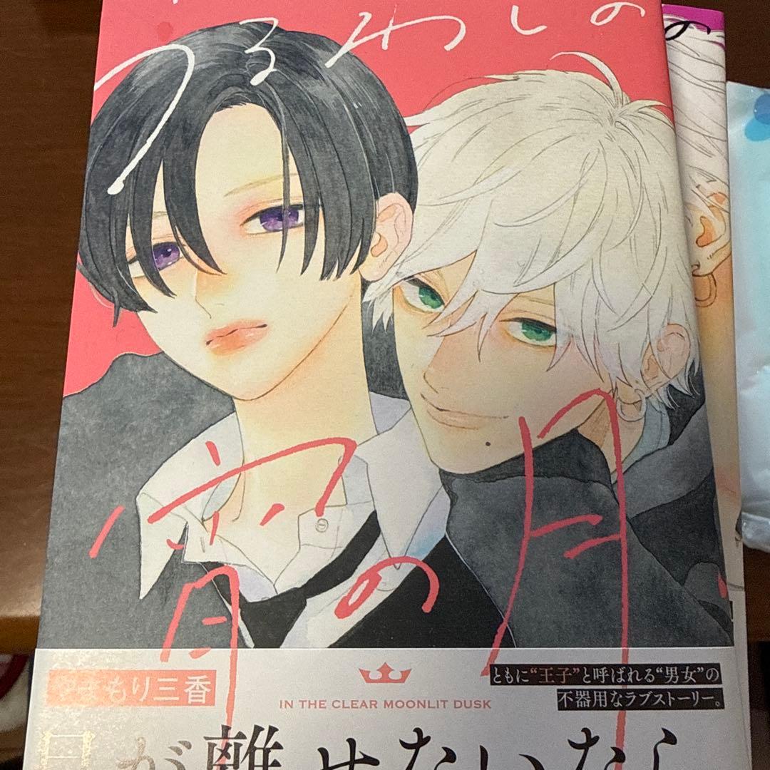 うるわしの宵の月 全10巻セット