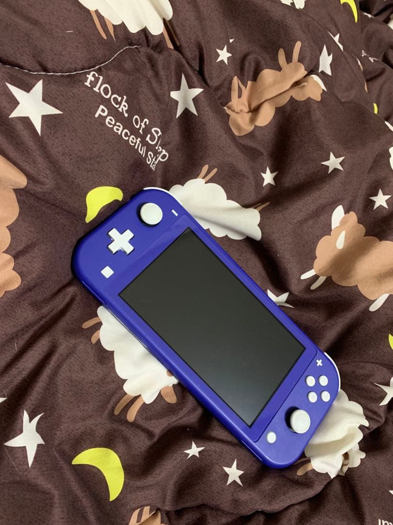 Switch Nintendo Lite ブルー　中古美品