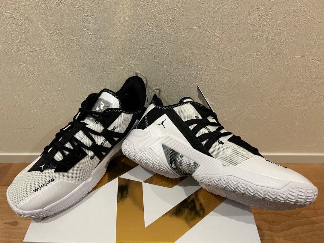 新品未使用品　NIKE ジョーダン ワン テイク 2