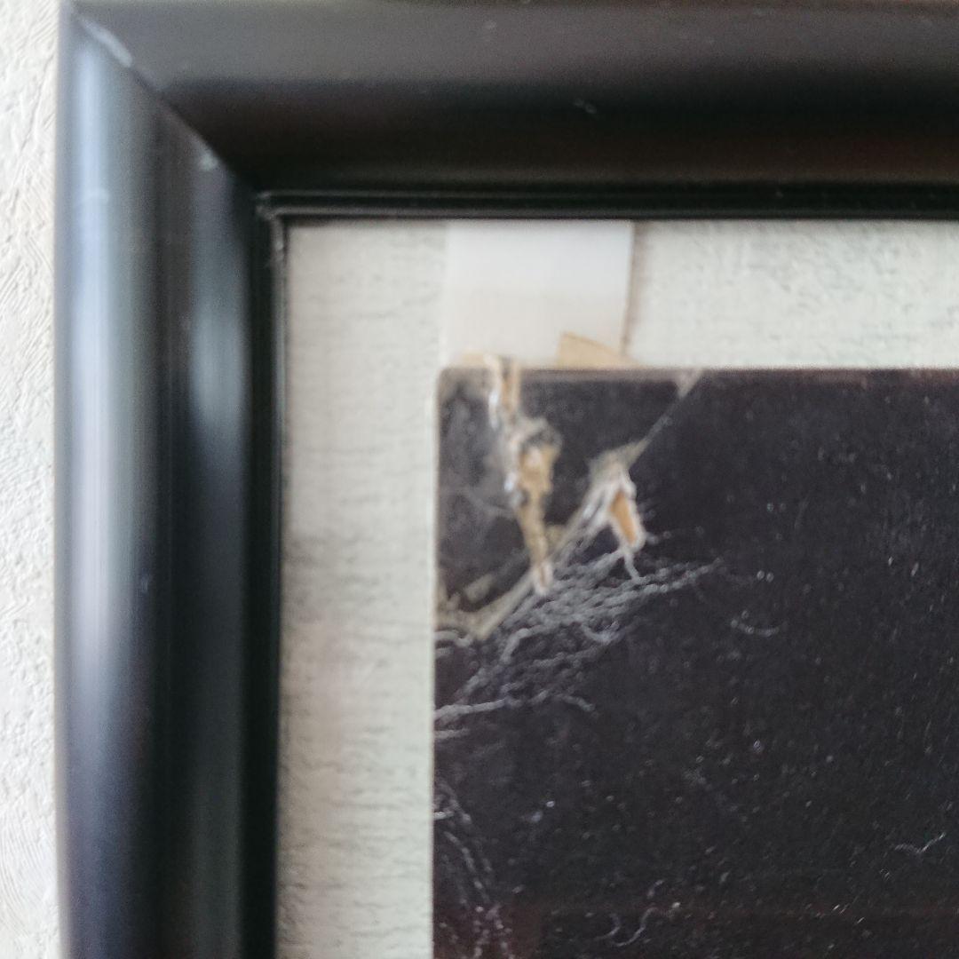 映画 ガイア&ティガ&ダイナ 特大ポスター  約102．5 × 72．5cm