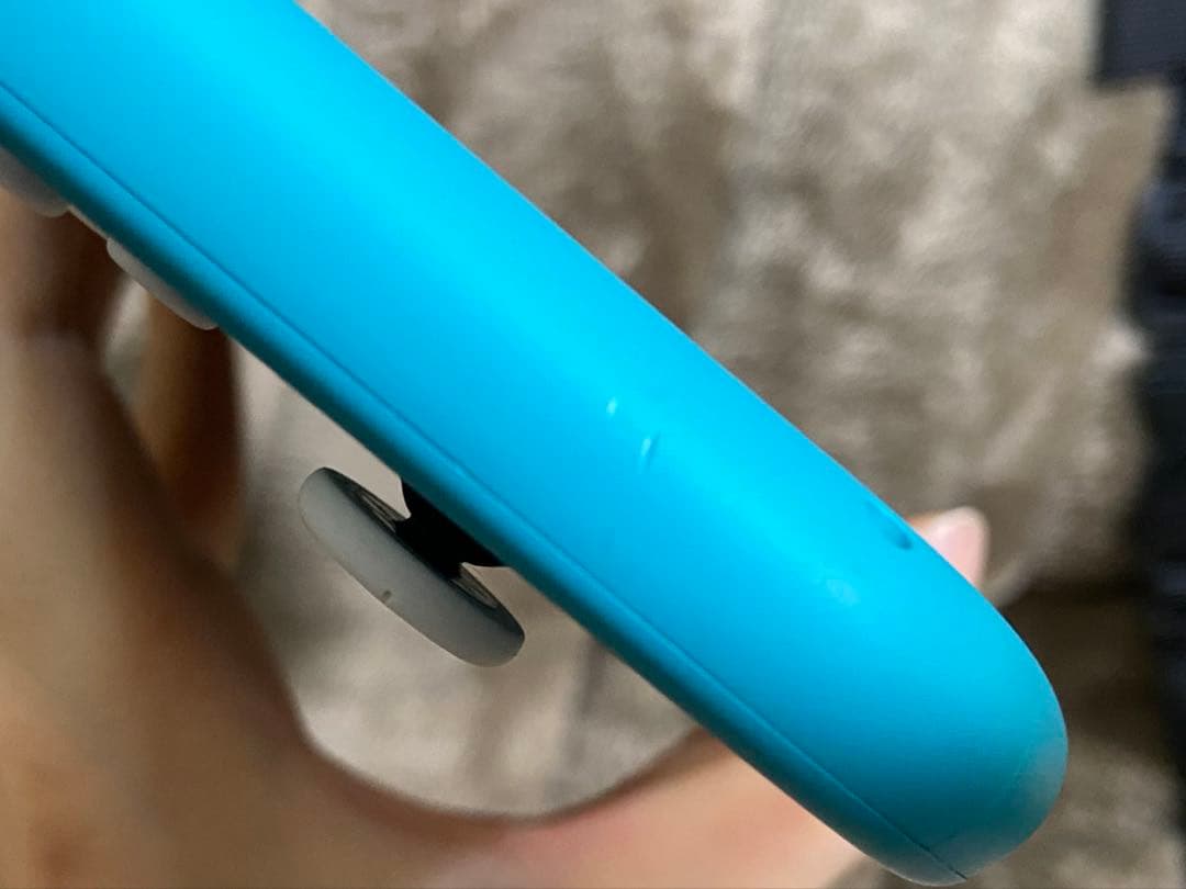 Nintendo Switch Lite ターコイズ 本体　ケース付き